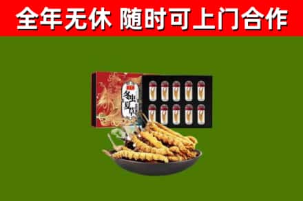 开封回收冬虫夏草价格